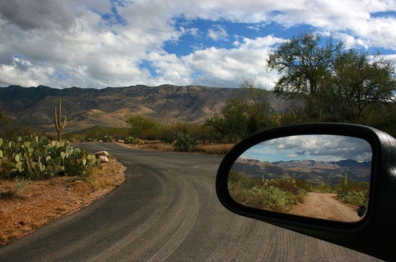 Driving through Saguaro National Park, Arizona, 2007